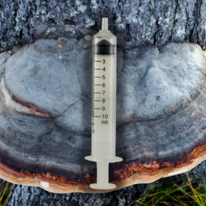 Agarikon mushroom Liquid Culture (Fomitopsis officinalis)
