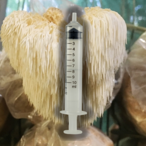 Bears Head Tooth Mushroom Liquid Culture (Hericium Americanum)